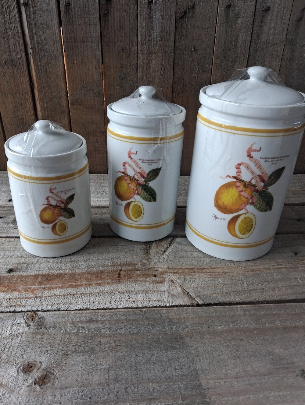 Williams-Sonoma Lemon Botanical 3-Piece Ceramic Canister Set